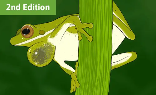 Illustration of a green frog on a reed. The frog's throat is inflated to show that it is making a croaking noise.