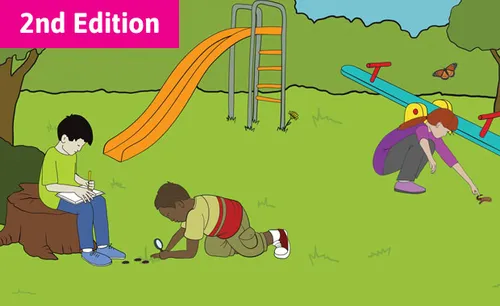 Illustration of three students on a playground. One student is sitting on a tree stump and writing in a journal. The other students are crawling on the ground and looking at insects that are on the ground. There is a slide and seesaw in the background.