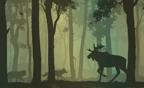 Illustration wolves and a moose in a forest.